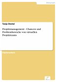 Projektmanagement - Chancen und Problembereiche von virtuellen Projektteams (eBook, PDF)