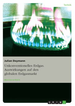 Unkonventionelles Erdgas. Auswirkungen auf den globalen Erdgasmarkt (eBook, PDF) - Deymann, Julian