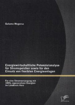 Energiewirtschaftliche Potenzialanalyse für Stromspeicher sowie für den Einsatz von flexiblen Energieanlagen: Für eine Stromversorgung mit 100% regenerativen Energien im Landkreis Harz - Megersa, Guluma