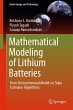 Mathematical Modeling of Lithium... - Bild 1