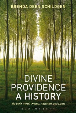 Cover Divine Providence