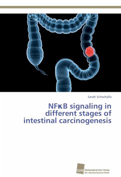 NF¿B signaling in different stages of intestinal carcinogenesis - Schwitalla, Sarah