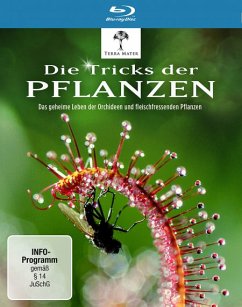 Die Tricks der Pflanzen