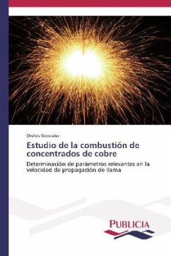 Cover Estudio de la combustión de concentrados de cobre