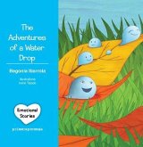 The Adventures of a Water Drop