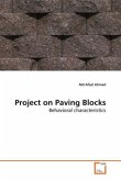 Project on Paving Blocks