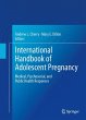 International Handbook of Adolescent... - Bild 1