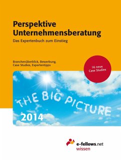 Perspektive Unternehmensberatung 2014 (eBook, ePUB)