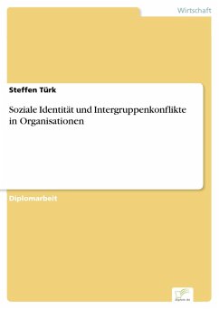 Soziale Identität und Intergruppenkonflikte in Organisationen (eBook, PDF) - Türk, Steffen