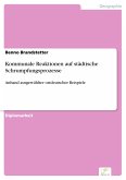 Kommunale Reaktionen auf städtische Schrumpfungsprozesse (eBook, PDF)