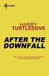 After the Downfall (eBook, ePUB) - Bild 1
