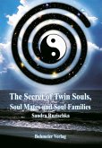 The Secret of Twin Souls, Soul Mates and Soul Families (eBook, PDF)