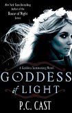 Goddess Of Light (eBook, ePUB)