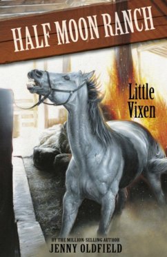 Cover Little Vixen (eBook, ePUB)