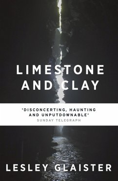 Limestone and Clay (eBook, ePUB) - Glaister, Lesley