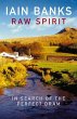 Raw Spirit (eBook, ePUB) - Bild 1
