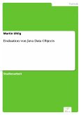Evaluation von Java Data Objects (eBook, PDF)