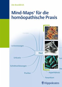 Mind-Maps für die homöopathische Praxis (eBook, ePUB) - Boeddrich, Ute