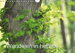 Wandelen in het bos NL- Version / Birthday Calendar (Wandkalender Eeuwigdurende kalender DIN A4 vertikaal)
