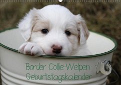 Border Collie-Welpen Geburtstagskalender (Wandkalender immerwährend DIN A2 quer) - Lindert-Rottke, Antje