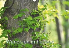 Wandelen in het bos NL- Version / Birthday Calendar (Wandkalender Eeuwigdurende kalender DIN A3 vertikaal) - Burlager, Claudia