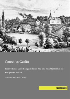 Beschreibende Darstellung der älteren Bau- und Kunstdenkmäler des Königreichs Sachsen - Gurlitt, Cornelius
