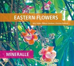 Cover Mineralle