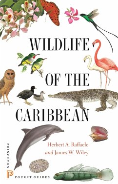 Cover Wildlife of the Caribbean