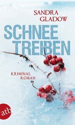 Schneetreiben (eBook, ePUB) - Gladow, Sandra