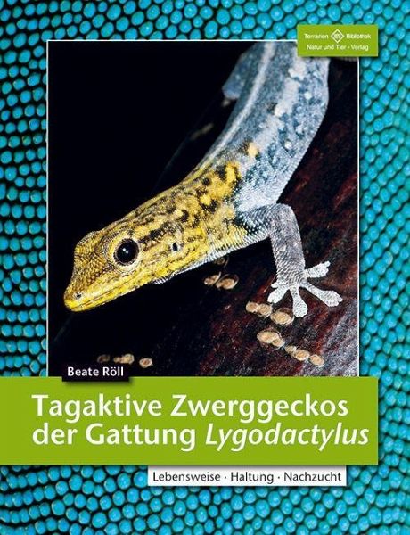 Tagaktive Zweggeckos der Gattung Lygodactylus von Beate Röll portofrei bei  bücher.de bestellen