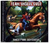 Team Undercover - Angst um Odysseus