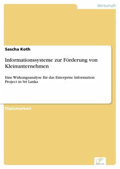 Informationssysteme zur Förderung von Kleinunternehmen (eBook, PDF) - Koth, Sascha