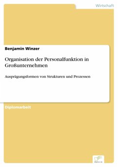 Organisation der Personalfunktion in Großunternehmen (eBook, PDF) - Winzer, Benjamin