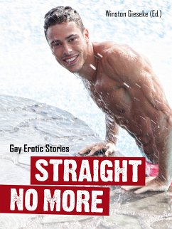 Straight No More (eBook, ePUB)