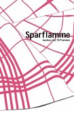 Sparflamme (eBook, PDF)