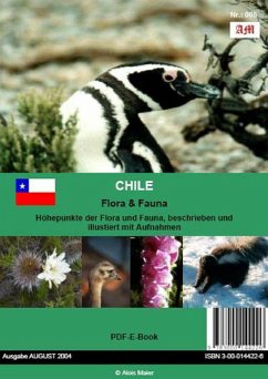 Chile (eBook, PDF) - Meier, Alois