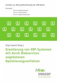 Erweiterung von ERP-Systemen mit durch Webservices angebotenen Optimierungsverfahren