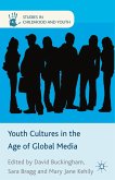 Youth Cultures in the Age of Global Media