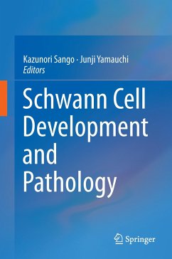 Schwann Cell Development and Pathology