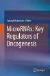 MicroRNAs: Key Regulators of Oncogenesis - Bild 1