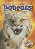 Bobcats