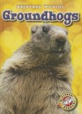 Groundhogs