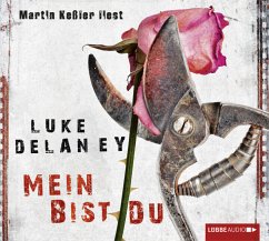 Mein bist du / Sean Corrigan Bd.1 (6 Audio-CDs) - Delaney, Luke