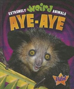 Aye-Aye - Owings, Lisa