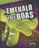 Emerald Tree Boas