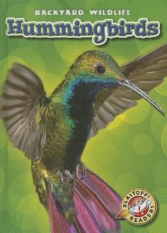 Hummingbirds - Borgert-Spaniol, Megan