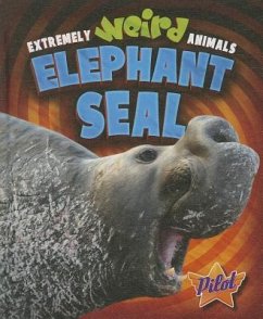 Elephant Seal - Owings, Lisa