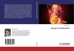 Syngas Combustion