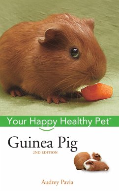 Guinea Pig - Pavia, Audrey