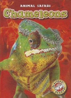 Chameleons - Schuetz, Kari